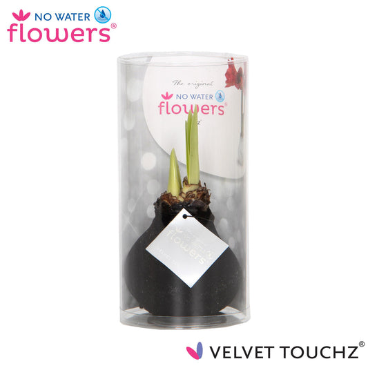 No Water Flowers Velvet Touchz® Black – Ø 15 cm