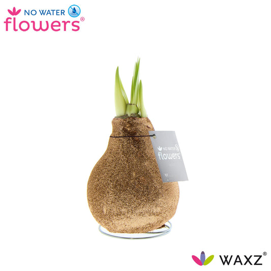 No Water Flowers Waxz Glitterz® Champagne Ø15cm