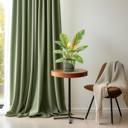 Philodendron Narrow 'Ring Of Fire' – Pflegeleichte Zimmerpflanze