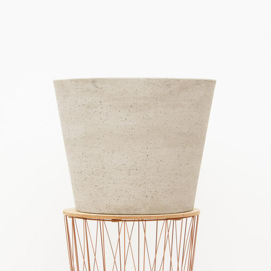 Bucket Beige Washed – Pflegeleichte Zimmer- und Gartenpflanze L