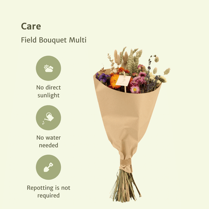 Trockenblumenstrauß Feldblumen Multi Ø20cm, 50cm hoch