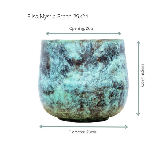 Elisa Mystic Green – Pflegeleichte Zimmerpflanze D29 x H24