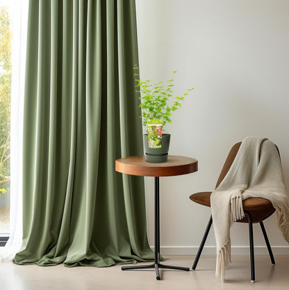 Fächerahorn 'Going Green' – kompakte Zimmer- & Gartenpflanze