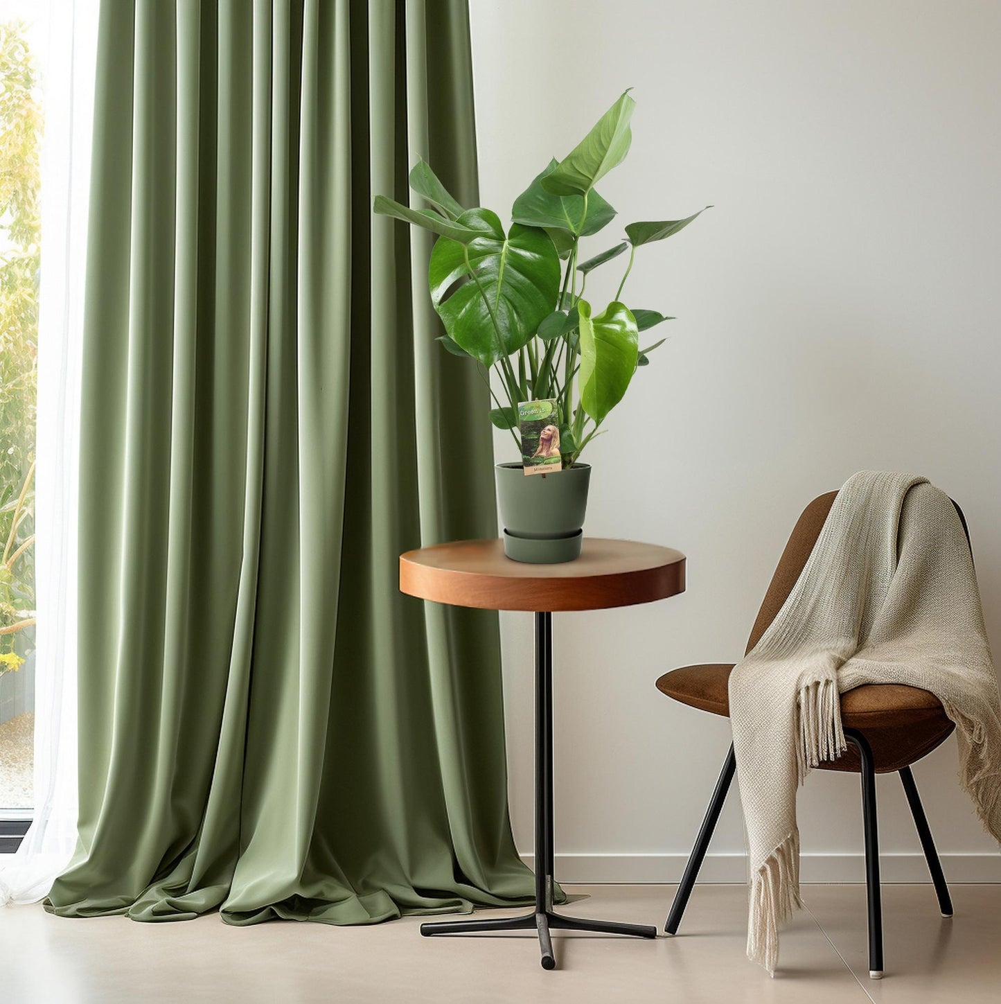 Monstera Deliciosa – Pflegeleichte Zimmerpflanze Ø17cm