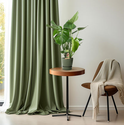 Monstera Deliciosa – Pflegeleichte Zimmerpflanze Ø17cm