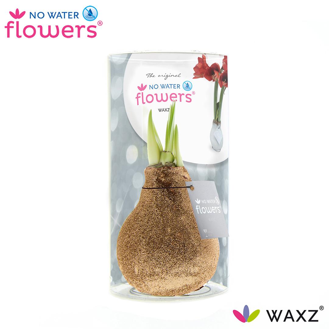 No Water Flowers Waxz Glitterz® Champagne Ø15cm