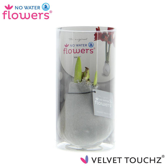 No Water Flowers Velvet Touchz® Zilver – Pflegeleichte Deko-Blume Ø15cm