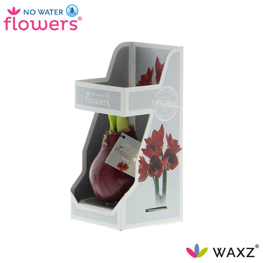 No Water Flowers Waxz® Bordeaux – Pflegeleichte Wachsblumen im Geschenkset