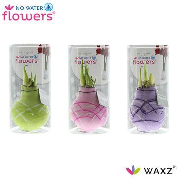 No Water Flowers Art Monet – 3er Set Trockenblumen Ø7cm
