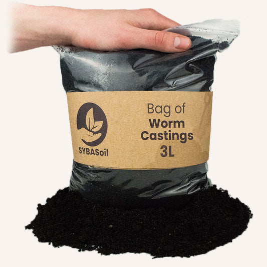 Wurmhumus 3L – Natürlicher Bio-Dünger für gesunde Pflanzen