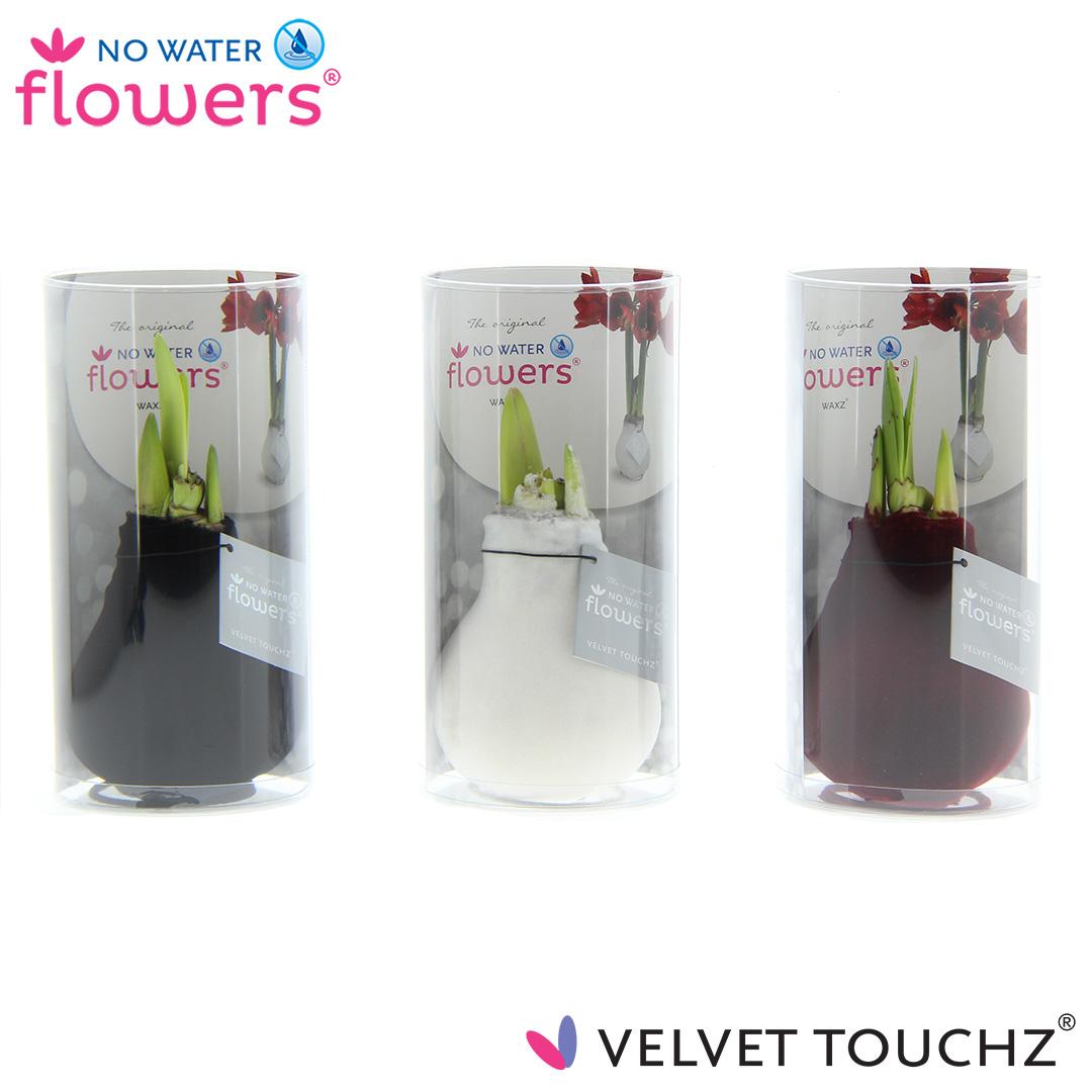 No Water Flowers Velvet Touchz Classic Mix – 3er Set Ø7 cm