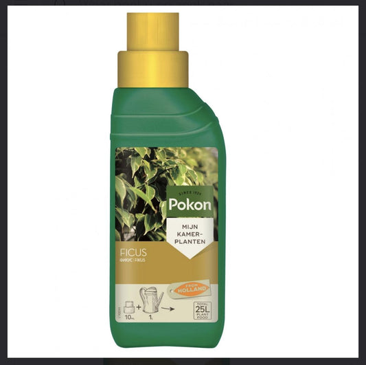 Ficus Pflanzennahrung 250 ml – Nährstoffboost für Zimmerpflanzen