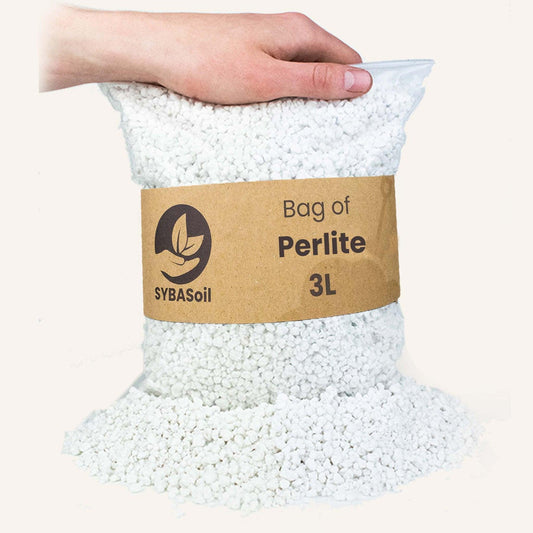 Perlit 3L – Leichtes Mineral für gesunde Pflanzen