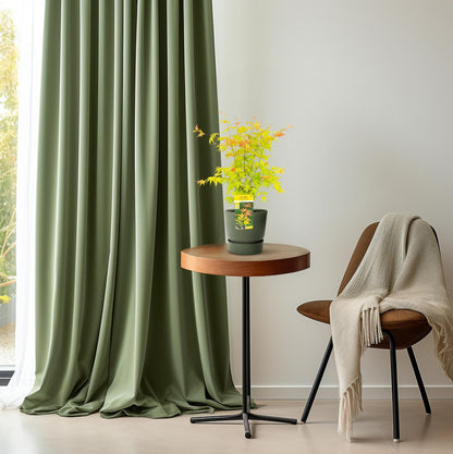 Acer palmatum Orange Dream – dekorativer Ahorn Ø19cm