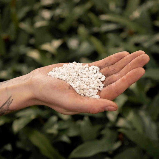 Perlit 3L – Leichtes Mineral für gesunde Pflanzen