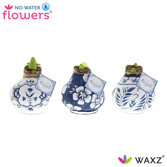 No Water Flowers Waxz Delfts Blauw Mix – 3er Set Ø7 cm