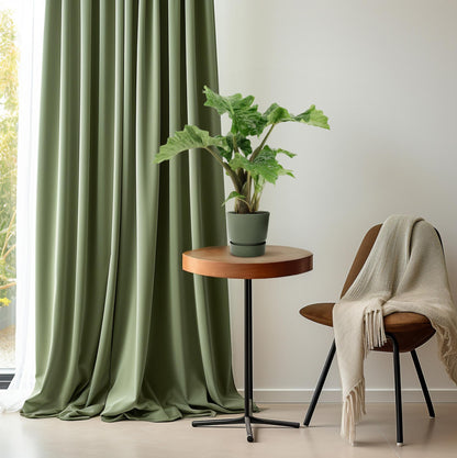 Alocasia Low Rider – Pflegeleichte Elefantenohr-Pflanze Ø17cm