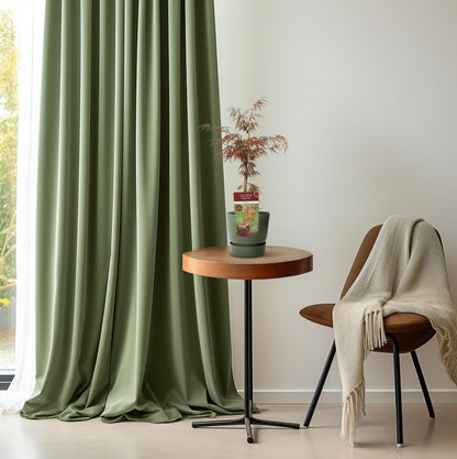 Acer palmatum 'Garnet' – Pflegeleichter Ahorn Ø19cm, ca. 55cm hoch