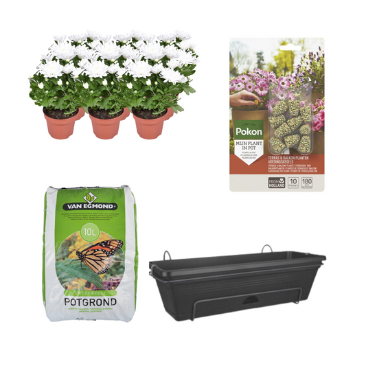 Balkonbak Zwart DIY-Set mit Chrysanthemum Brave