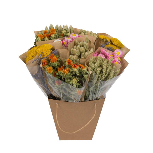 Getrocknete Blumen – Dried Mono Mix 50cm
