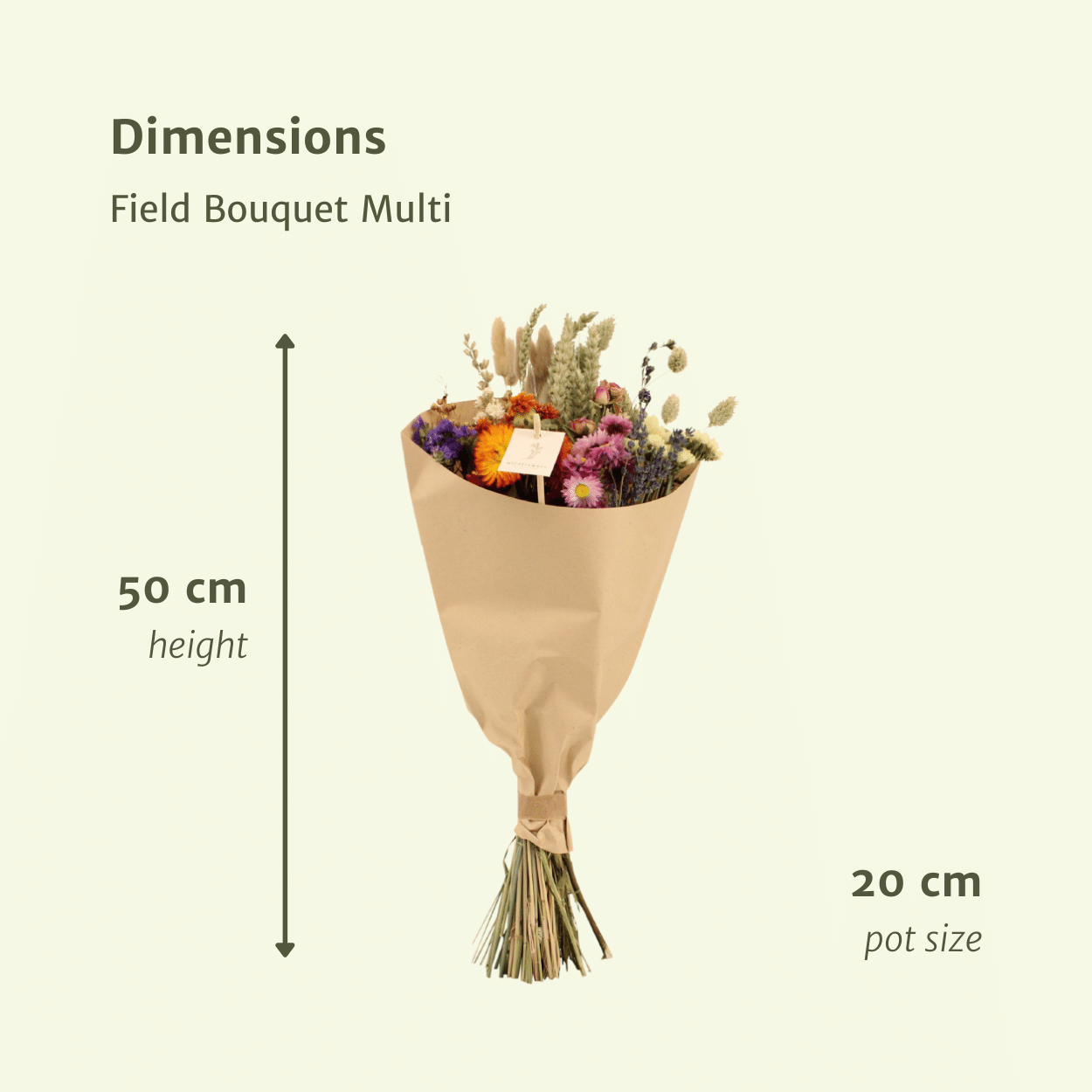 Trockenblumen Feldblumenstrauß Multi Ø20cm, ca. 50cm