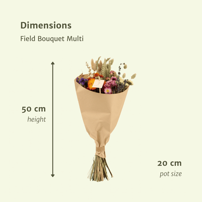 Trockenblumen Feldblumenstrauß Multi Ø20cm, ca. 50cm