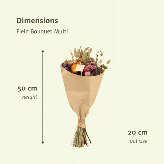 Trockenblumen Feldblumenstrauß Multi Ø20cm, ca. 50cm