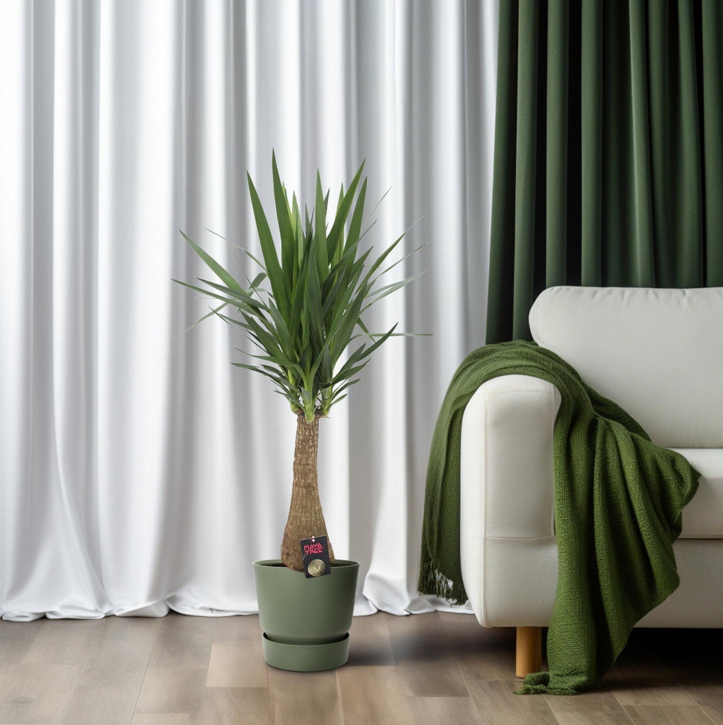 Yucca 'Maya Tree' – Pflegeleichte Zimmerpflanze Ø27cm, 110cm hoch