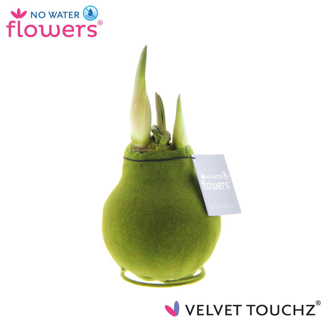 No Water Flowers Velvet Touchz® Moosgrün Ø15cm