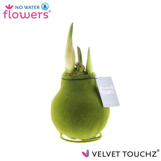 No Water Flowers Velvet Touchz® Moosgrün Ø15cm