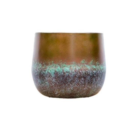 Elisa Mystic Bronze – Pflegeleichte Zimmerpflanze in Bronzetönen