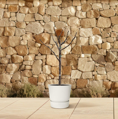 Ficus Carica op Stam – Pflegeleichter Feigenbaum 100 cm