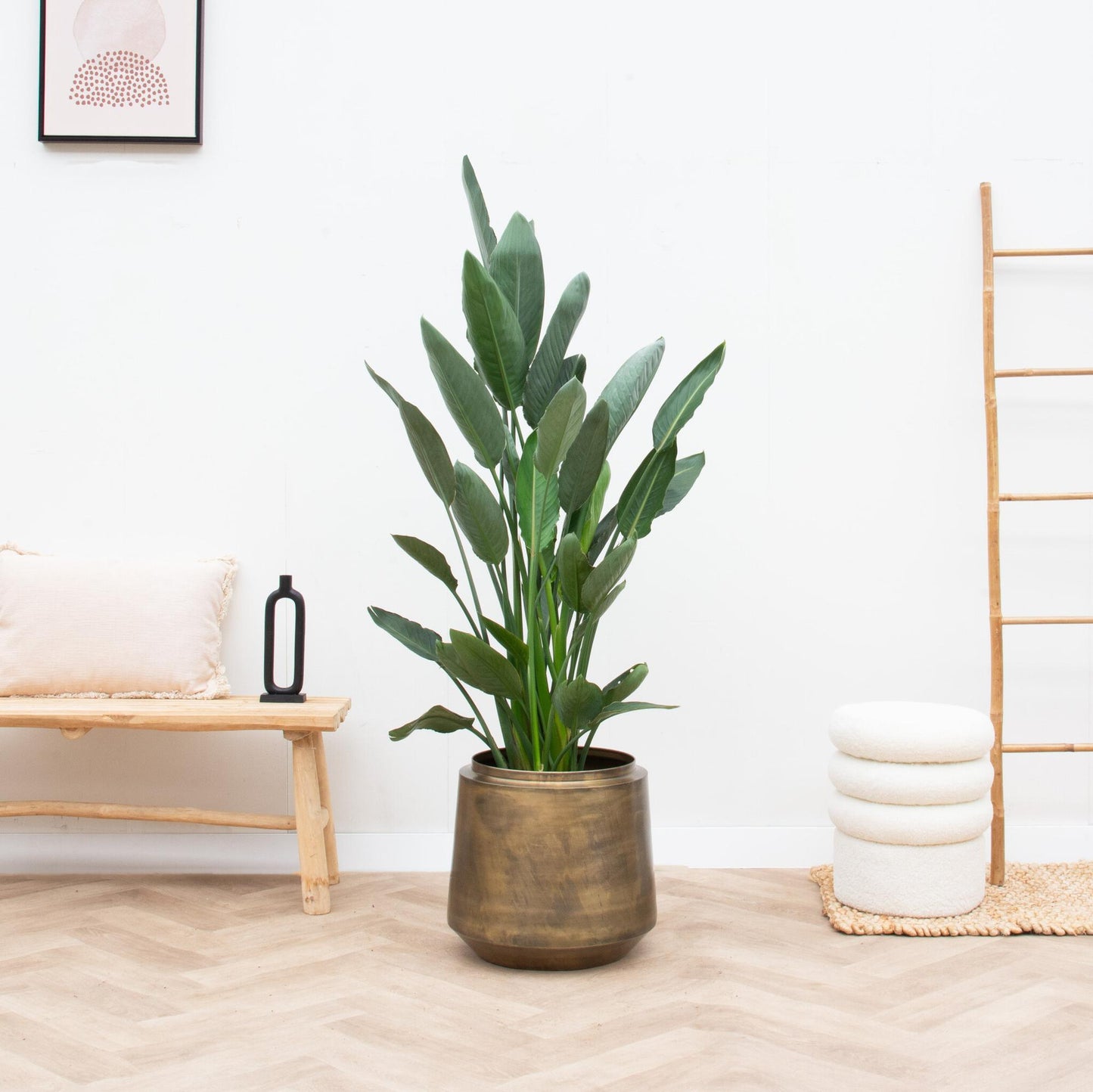 Pot Indigo Vintage Gold – Eleganter Pflanztopf D46xH41