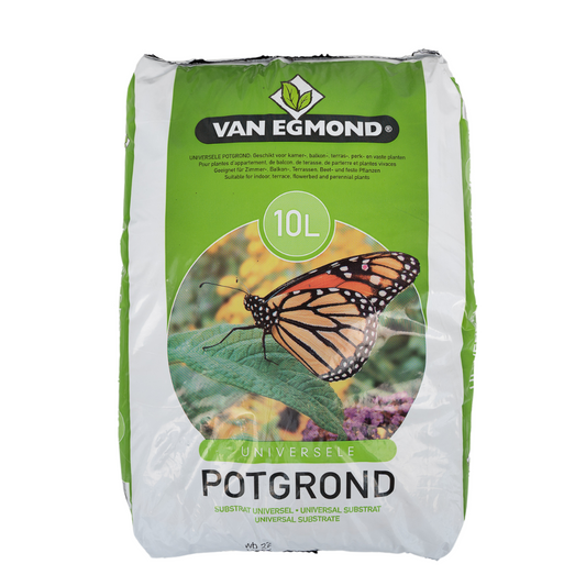 Blumenerde 10 Liter – Premium Qualität für gesunde Pflanzen
