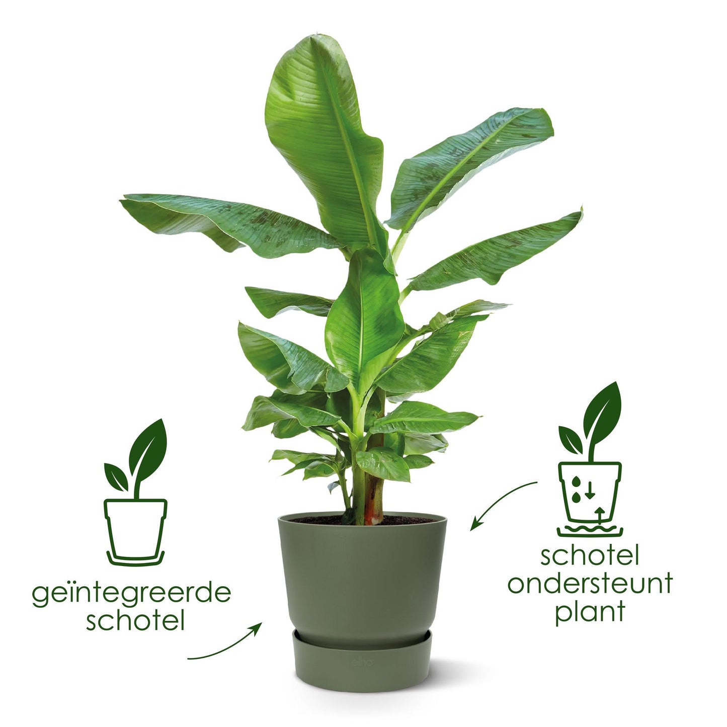 elho Greenville Round Pflanztopf Ø39 cm Weiß – Modern & Pflegeleicht