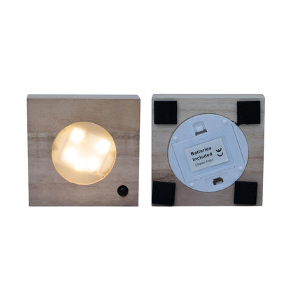 Clusia im Glas mit LED – Hydrokultur Zimmerpflanze Ø4cm