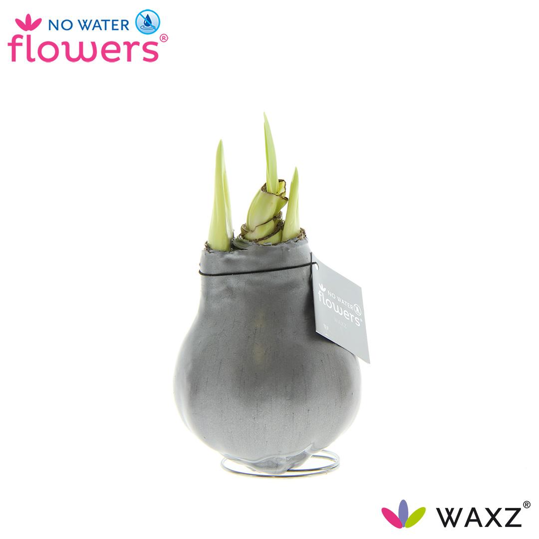 No Water Flowers Waxz® Metallic Silver Ø15cm