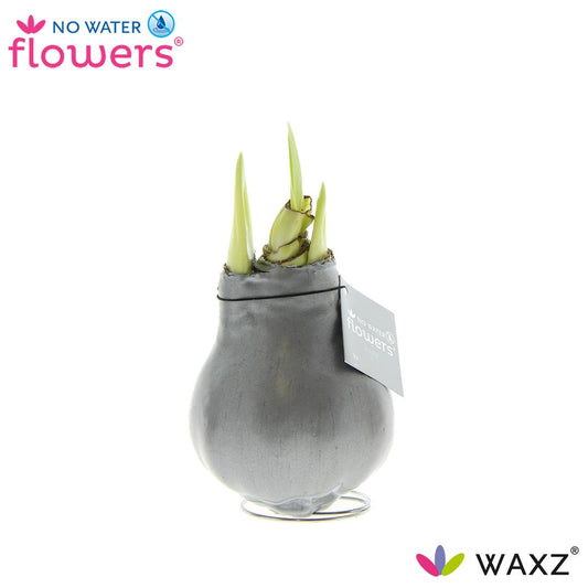 No Water Flowers Waxz® Metallic Silver Ø15cm