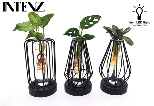 Mix in Turijn Glas mit LED - 3er Set Ø7cm, Höhe 20cm