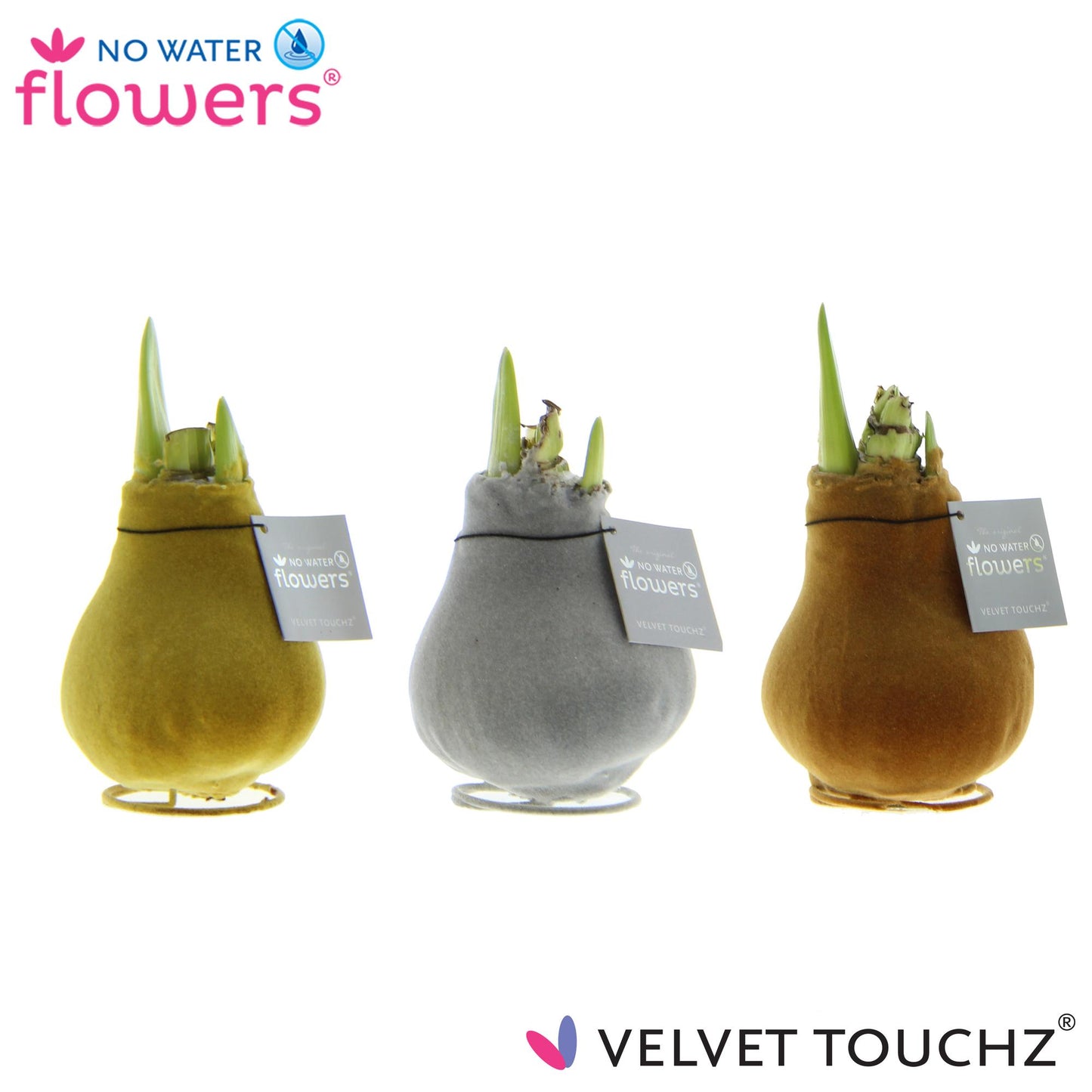 No Water Flowers Velvet Touchz Metallic Mix – 3er-Set Ø7 cm