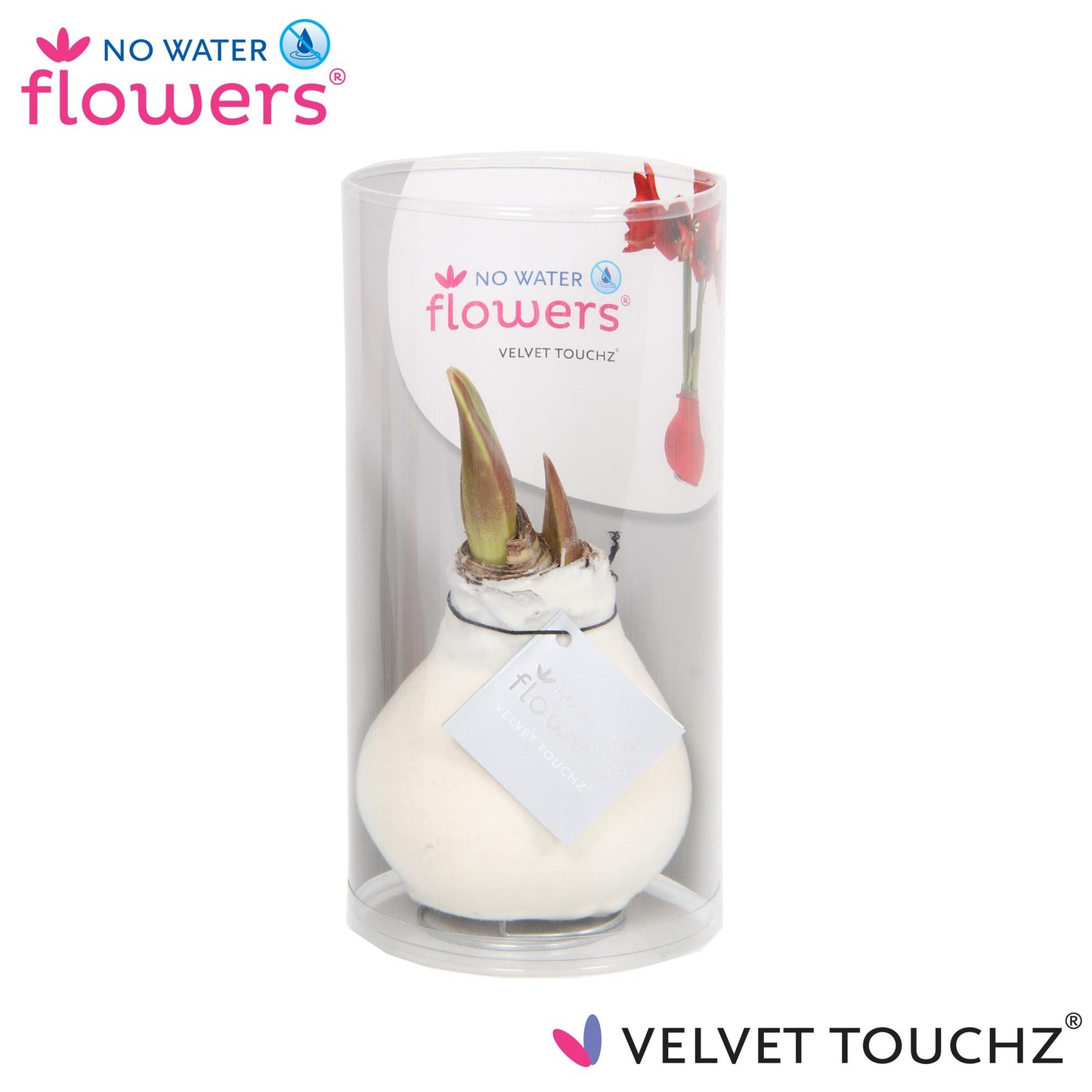 No Water Flowers Velvet Touchz® Weiß Ø15cm – Pflegeleichte Deko
