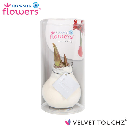 No Water Flowers Velvet Touchz® Weiß Ø15cm – Pflegeleichte Deko