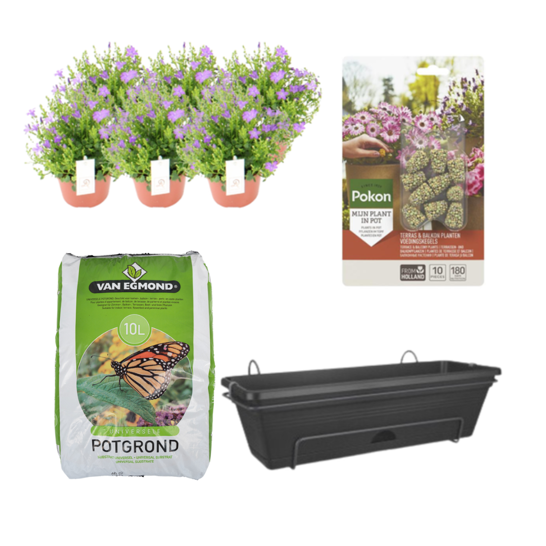Glockenblume Balkonkasten-Set Schwarz – Pflegeleicht & Modern