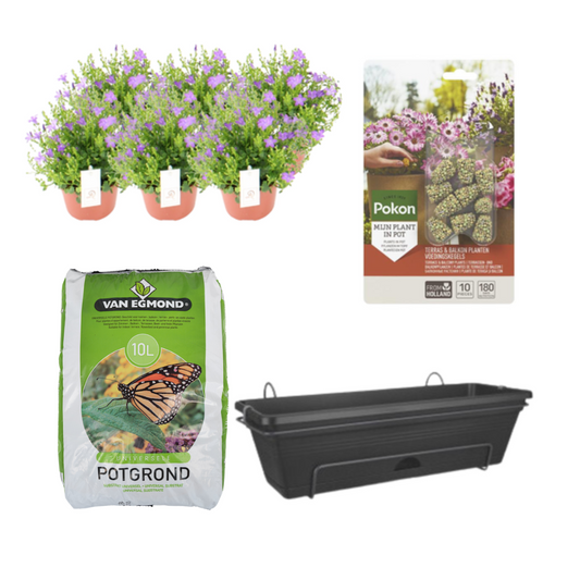 Glockenblume Balkonkasten-Set Schwarz – Pflegeleicht & Modern