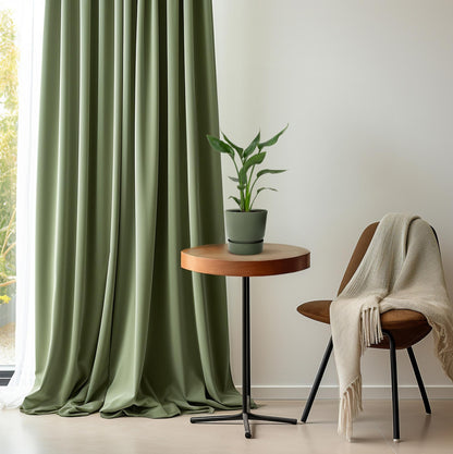 Strelitzia Reginae – Paradiesvogelblume Ø12cm, 35cm hoch