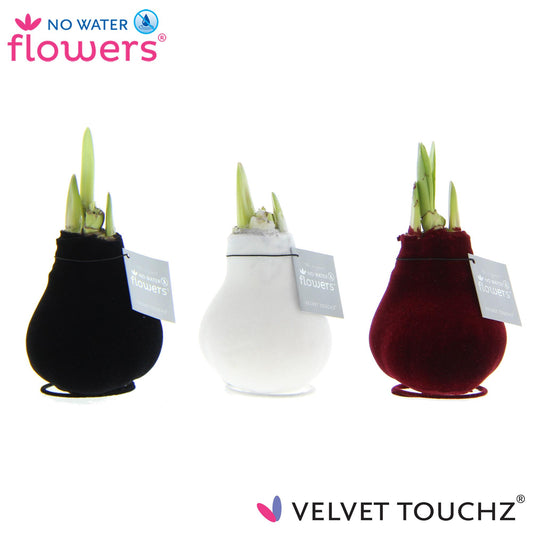 No Water Flowers Velvet Touchz Classic Mix – 3er Set Ø7 cm