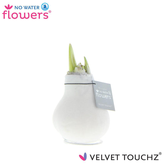 No Water Flowers Velvet Touchz® Weiß – Ø 15 cm