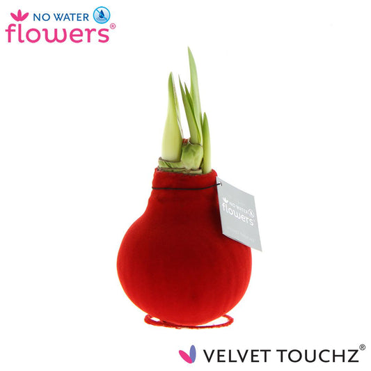 No Water Flowers Velvet Touchz® Red – pflegeleichte Deko