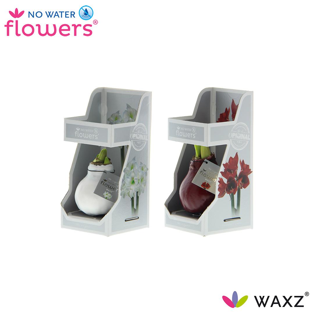 No Water Flowers Waxz Colorz – 2er Set, Ø7 cm, Ø15 cm