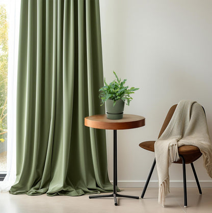 Phlebodium Blue Star – pflegeleichte Zimmerpflanze